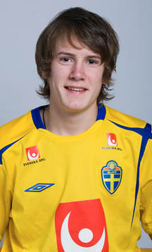 Niklas Johansson, Sverige