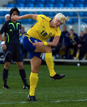 Nilla Fischer, Sverige