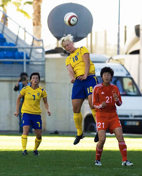 Nilla Fischer, Sverige