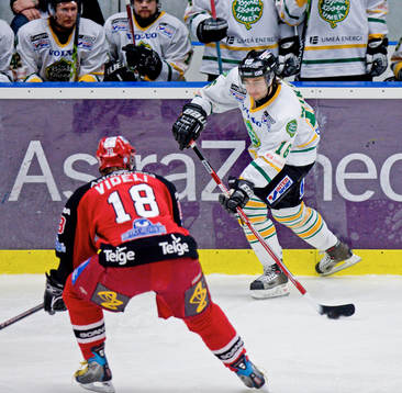 Johan Wikström, Björklöven och Linus Videll, Södertälje