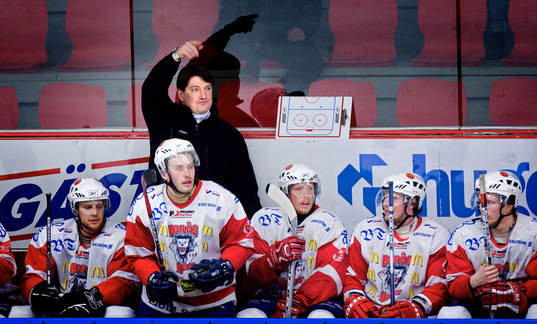 Janne Immonen, Tränare Borås