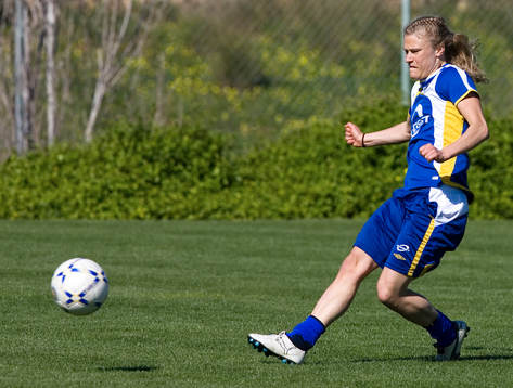 Frida Nordin, Sverige