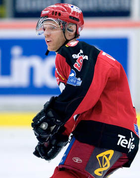 Steve Thornton, Rögle