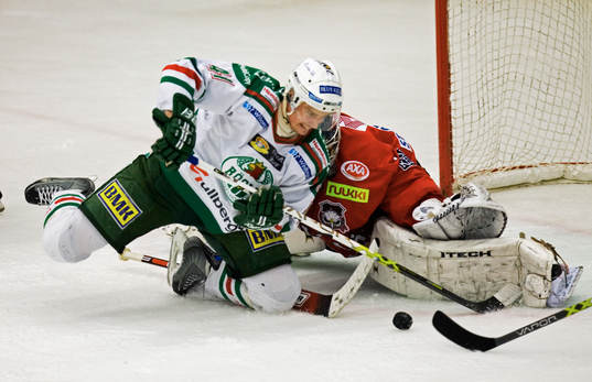 Martin Johansson, Rögle