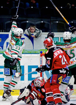 Brett Harkins, Rögle jubel bakom mål