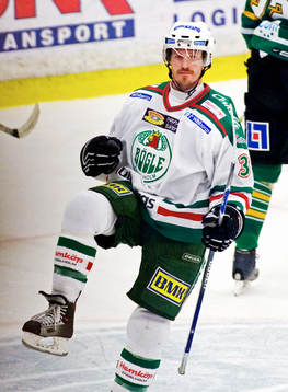 Brett Harkins, Rögle (Jubel)