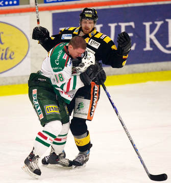 Patrik Zackrisson, Rögle och Fredrik Krekula, Skellefteå