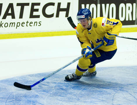 Fredrik Warg, Sverige