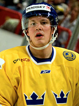 Fredrik Warg, Sverige