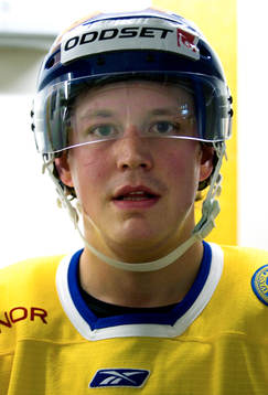 Fredrik Warg, Sverige