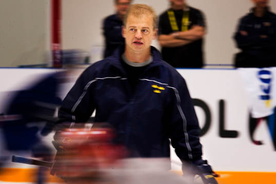 Bengt-Åke Gustafsson, Förbundskapten