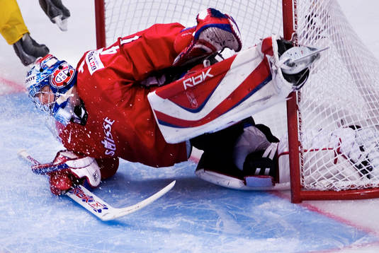 David Aebischer, målvakt