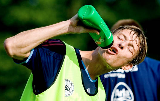 Jon Dahl Tomasson, Danmark