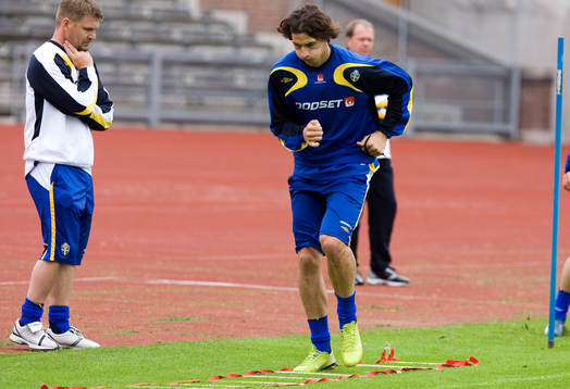 Zlatan Ibrahimovic, Sverige