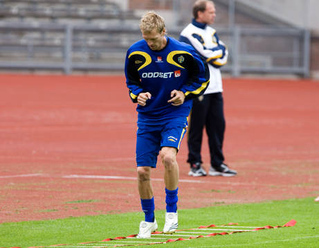 Christian Wilhelmsson, Sverige