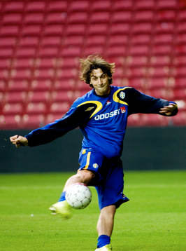 Zlatan Ibrahimovic, Sverige