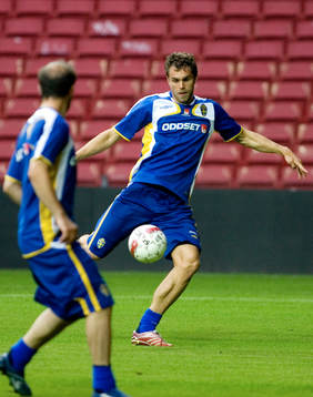 Johan Elmander, Sverige