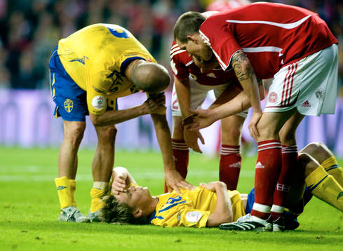Markus Rosenberg, Sverige, skada