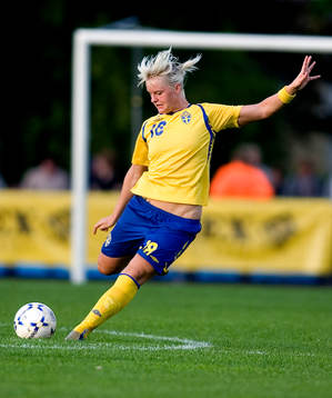 Nilla Fischer, Sverige