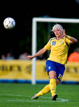 Nilla Fischer, Sverige