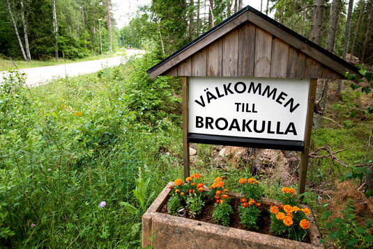 Bröderna ELM, Viktor Elm, Rasmus Elm och David Elm