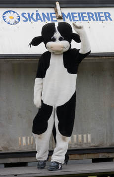 Kalvin, maskot Skånemejerier