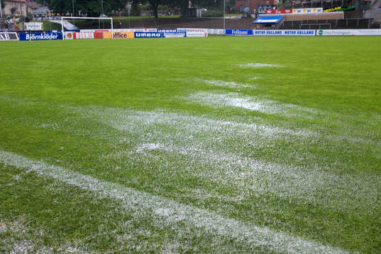 Regn, vatten, vattensjuk plan