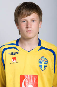 Mattias Johansson, Sverige