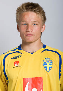 Nicklas Bärkroth, Sverige