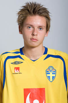 Johan Hult, Sverige