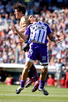 Johan Elmander, Toulouse