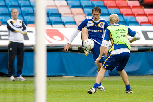 Johan Elmander, Sverige