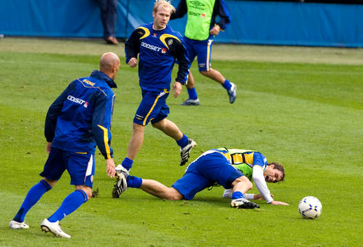 Mikael Dorsin och Johan Elmander, Sverige
