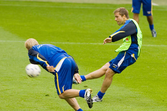 Anders Svensson, Sverige