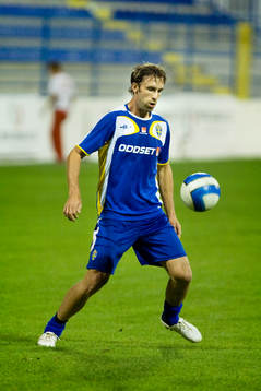 Rade Prica