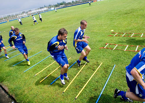 Johan Elmander och Daniel Andersson