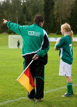 Flagga, linjeflagga