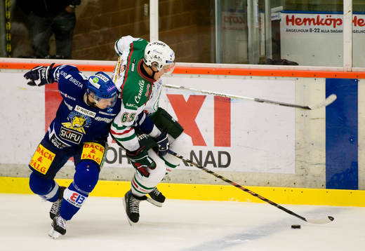 David Striz, Sundsvall och Andreé Persson, Rögle