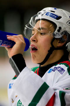Andreé Persson
