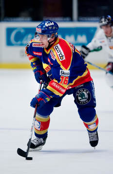 Nichlas Falk, Djurgården