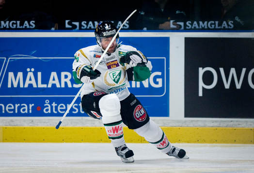 Thomas Rhodin, Färjestad