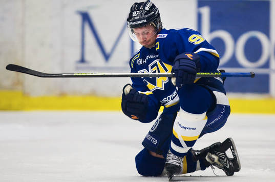 Per Ledin, HV71, jubel