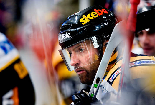 Mikael Renberg, Skellefteå