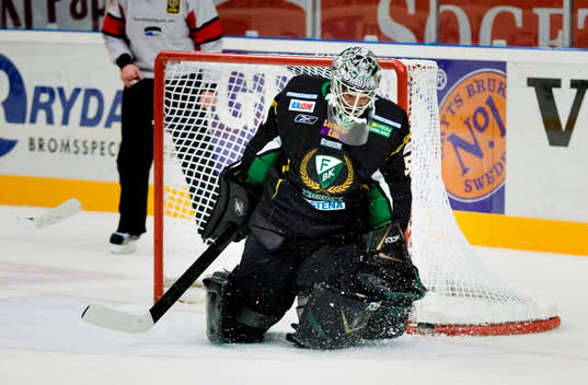 Jonas Gustavsson, målvakt, Färjestad