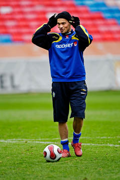 Fredrik Ljungberg