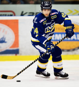 Ishockey, Elitserien, Jan Hrdina, HV71