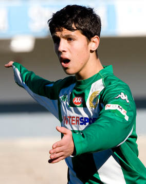 Salif Zener, Hammarby