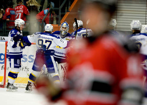 Stefan Liv, målvakt HV71