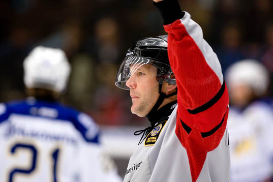Thomas Johansson, Domare