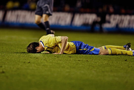 Johan Elmander, Sverige